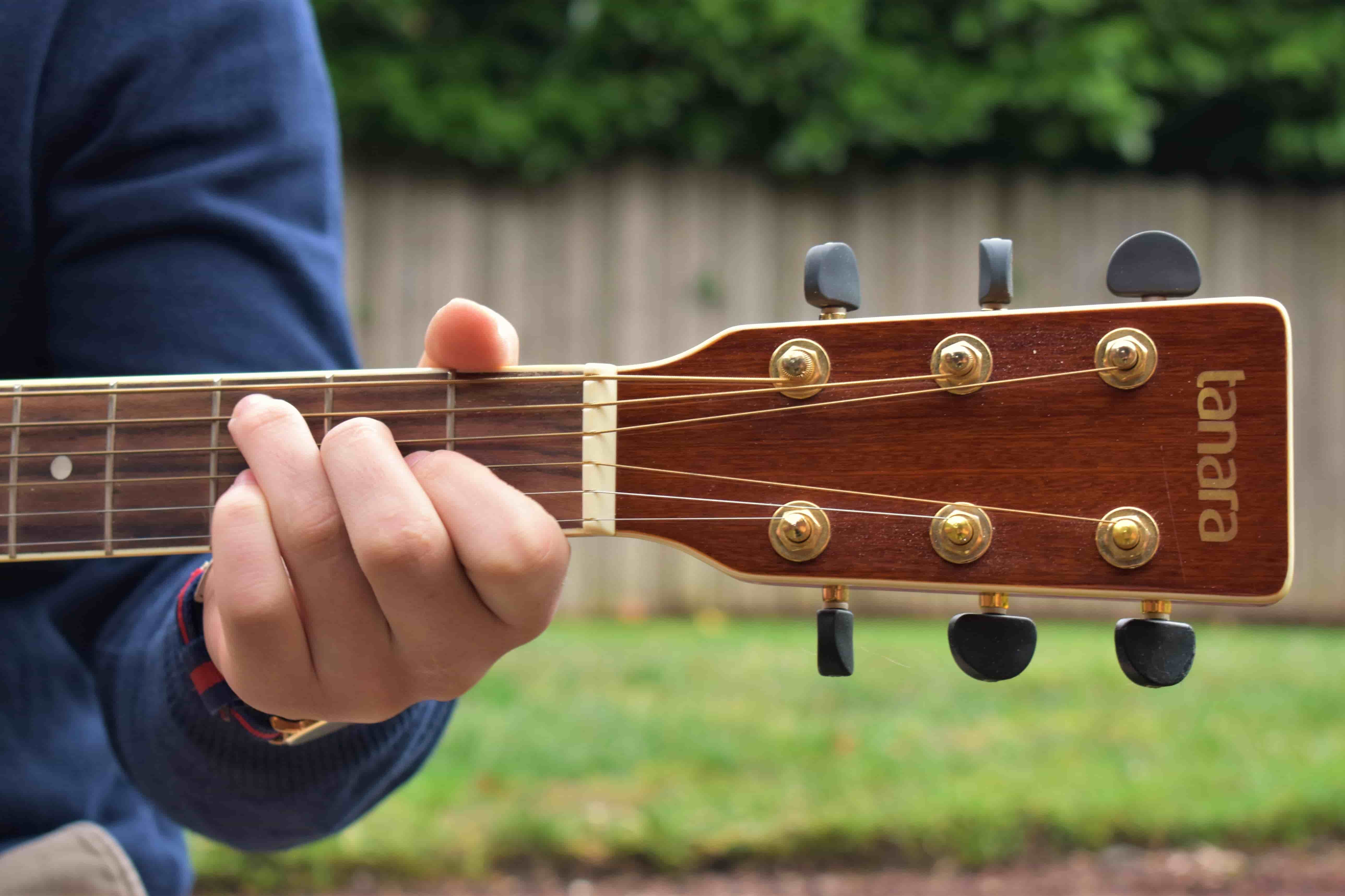 Guitar Fretboard