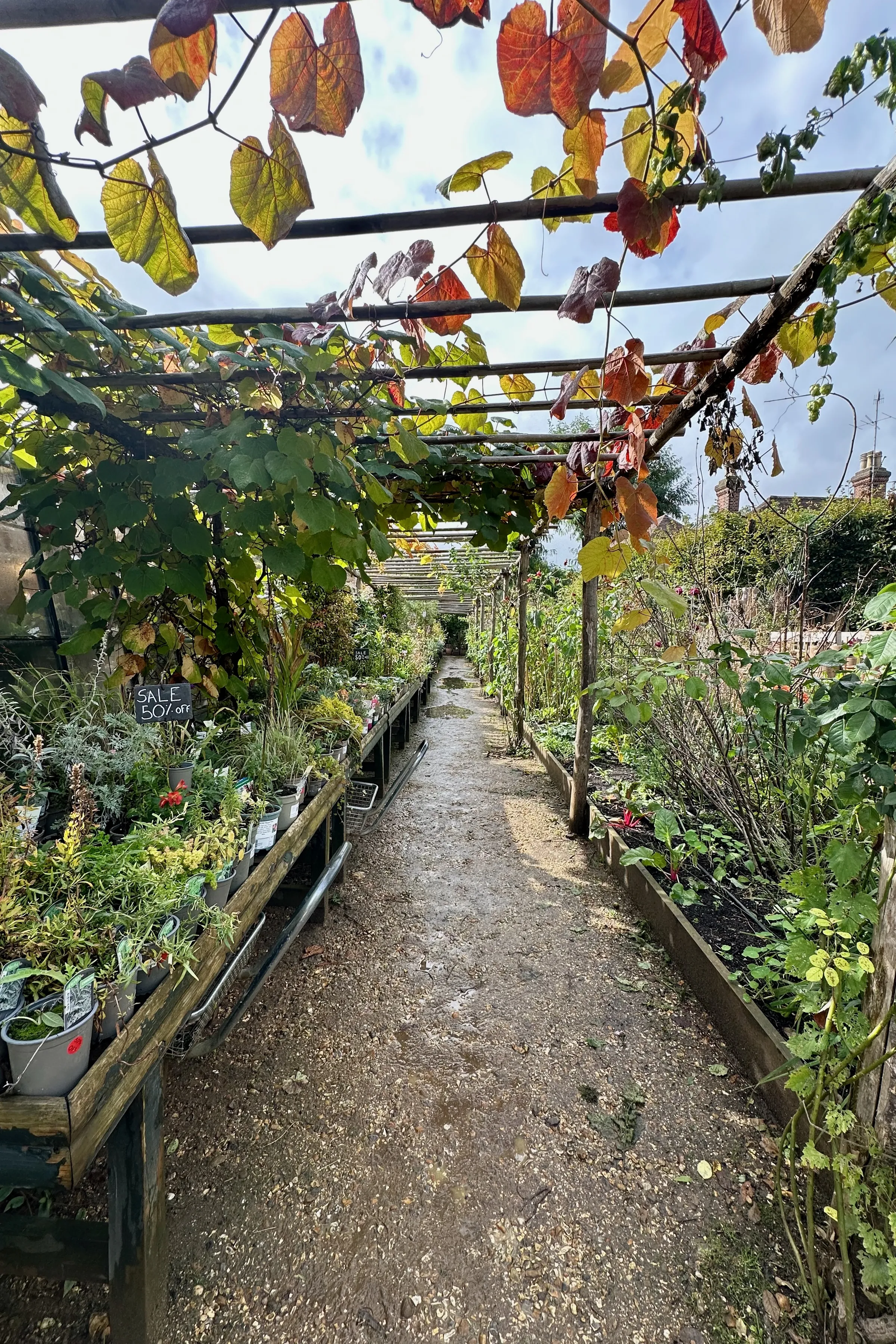 London Nursery