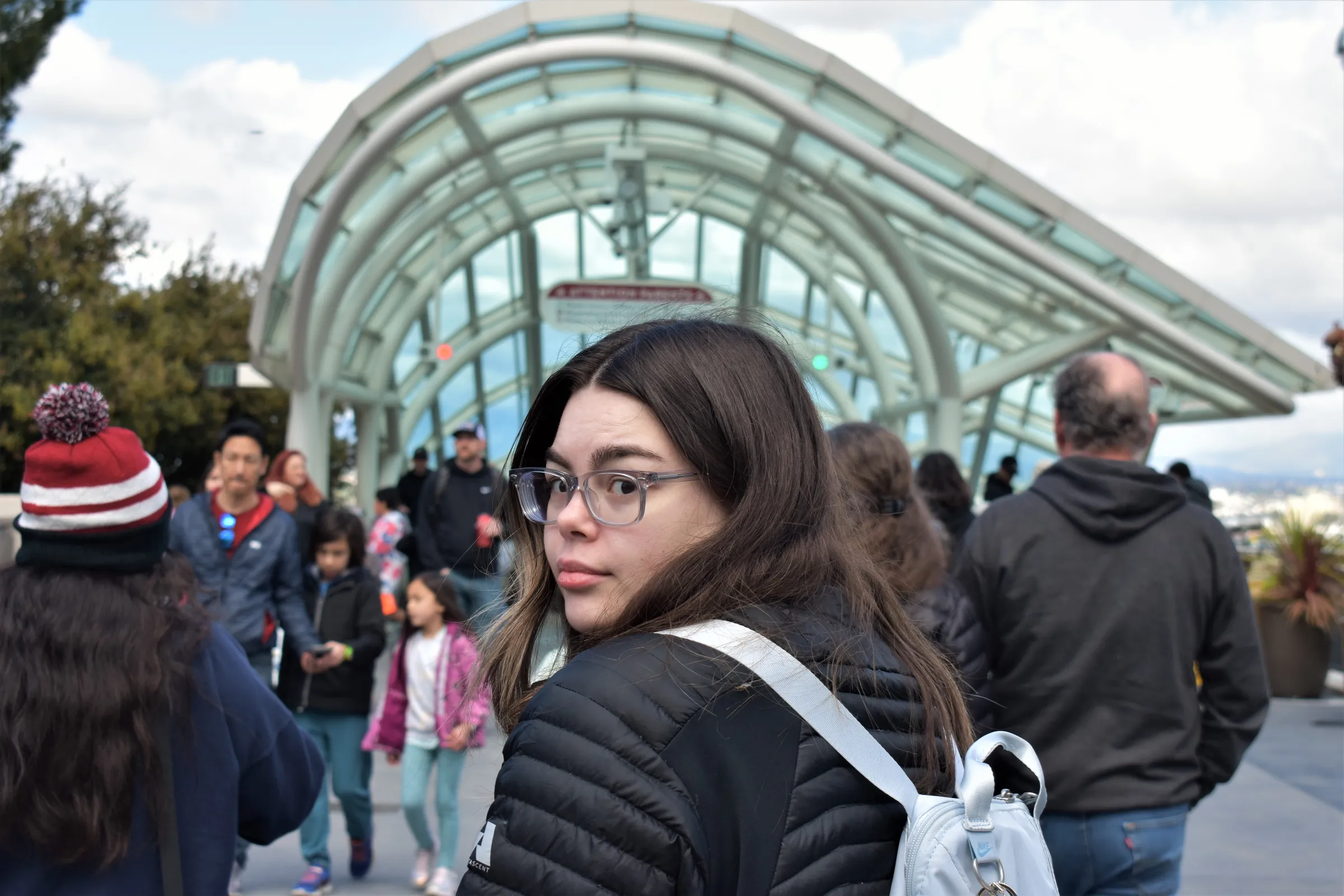 Travel Evanston Tree